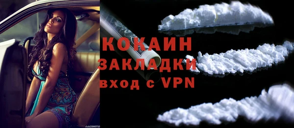 гидра Краснослободск