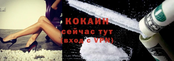 гидра Краснослободск
