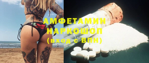 гидра Краснослободск