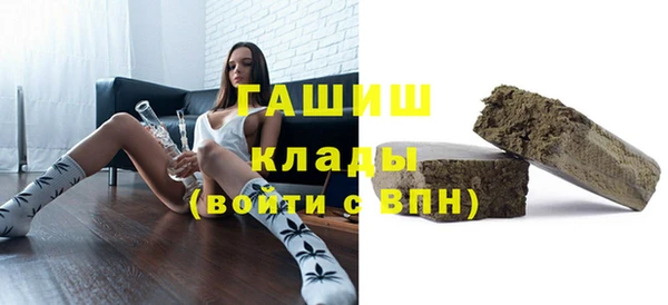 гидра Краснослободск