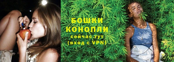 гидра Краснослободск