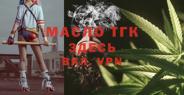 гидра Краснослободск