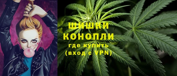 гидра Краснослободск