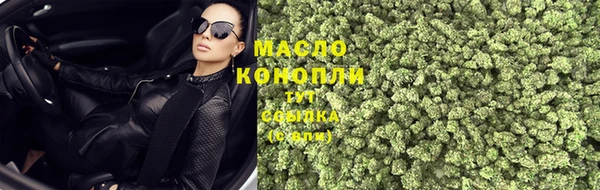 индика Красноперекопск