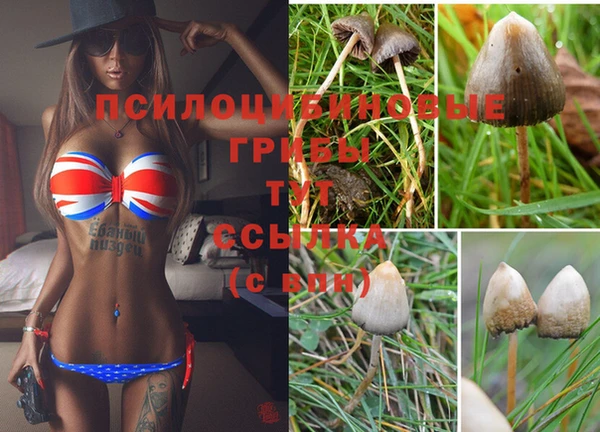 гидра Краснослободск