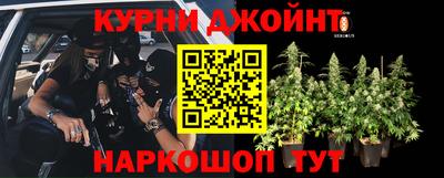 прущие грибы Ипатово