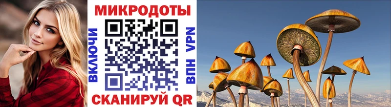 Галлюциногенные грибы прущие грибы  мега ССЫЛКА  Нарткала  продажа наркотиков 