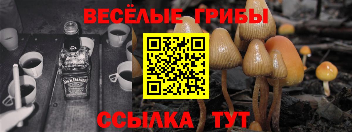 Псилоцибиновые грибы мухоморы  Псилоцибиновые грибы MAGIC MUSHROOMS  купить наркоту  Вход с VPN  Нарткала 
