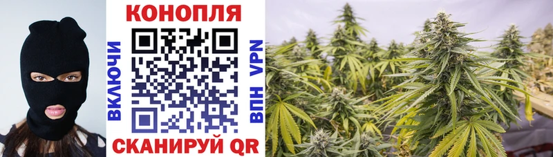Бошки Шишки OG Kush  Нарткала 